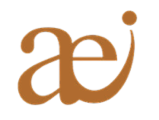 art education institute logo